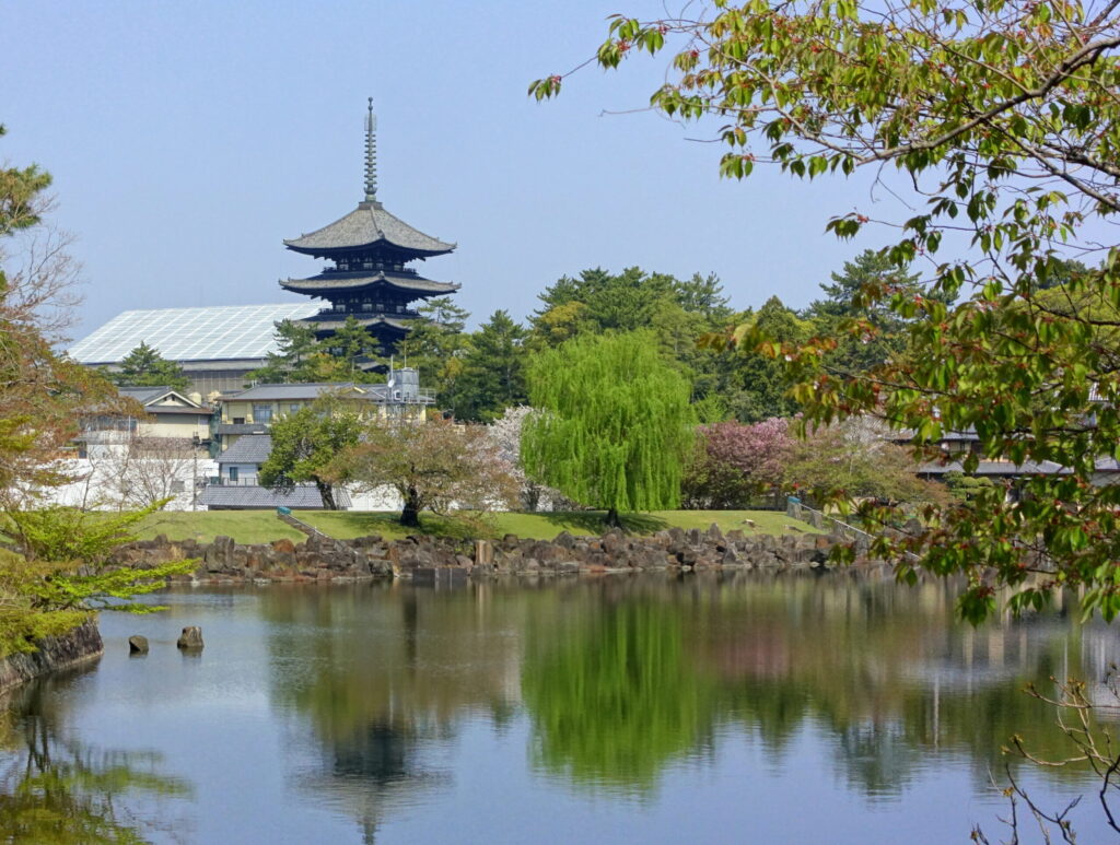 奈良公園・ならまち・若草山、どこを歩く？