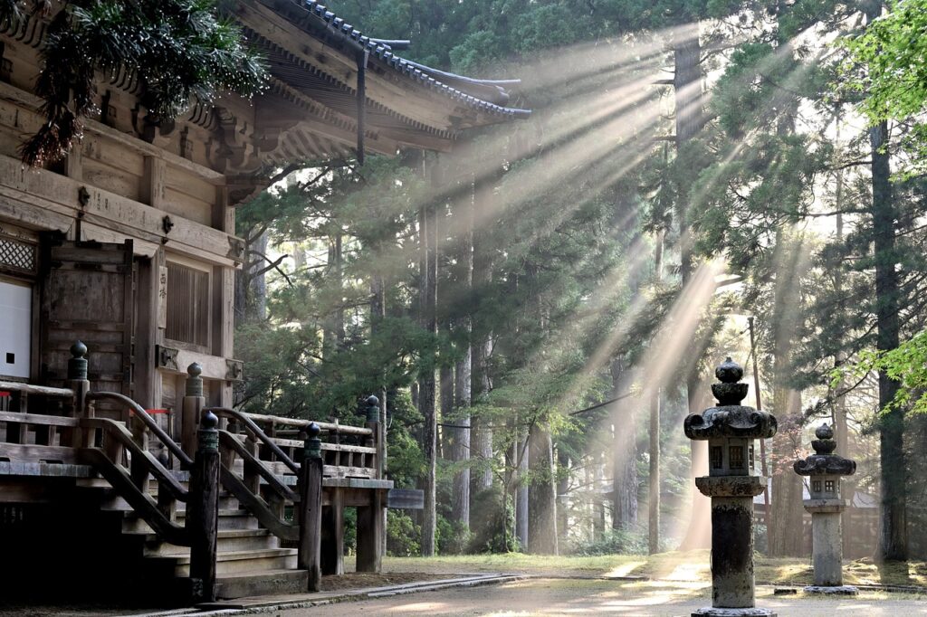 紀美野町と綾部市、何を軸に選ぶ？